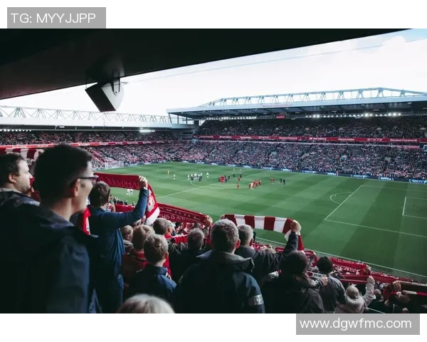 足球明星最大迷妹的追星之路与心路历程揭秘